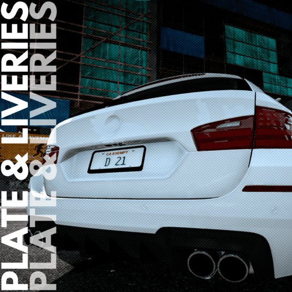 Custom Plate & Liveries